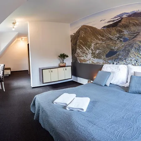 Sileo Pensjonat 3*