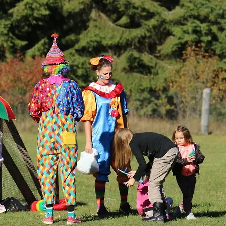 Sileo 普利比利那